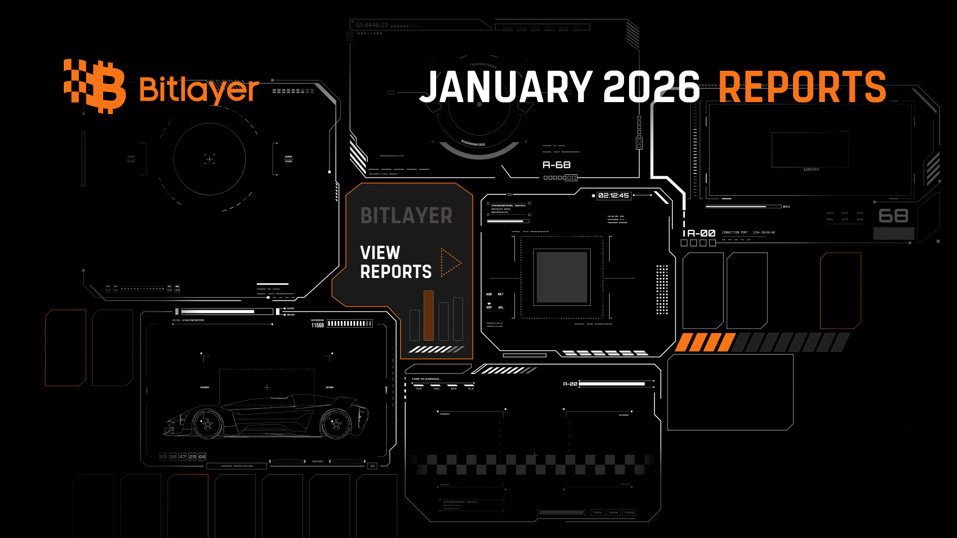 Bitlayer Monthly Report - January 2026